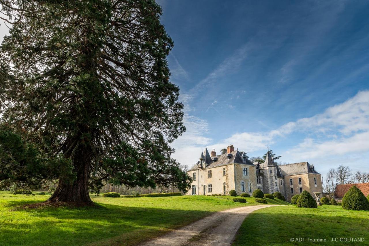 Chateau De Valesne Saché Buitenkant foto